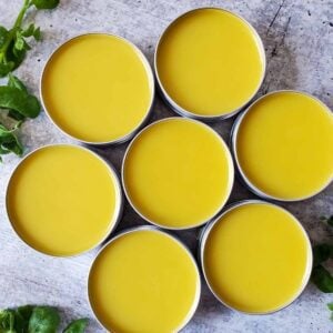 Seven tins of chickweed salve are arranged in a honeycomb pattern, a few fresh sprigs of chickweed garnish the surrounding area.