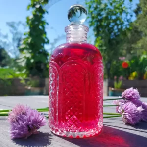 A glass jar is full of pink chive blossom vinegar. A few purple chive blossoms are surrounding the jar.