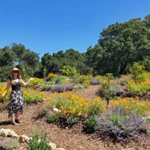 A woman stands in front or a terraced orchard space full of flowering plants and fruit trees planted on top of the terraces.