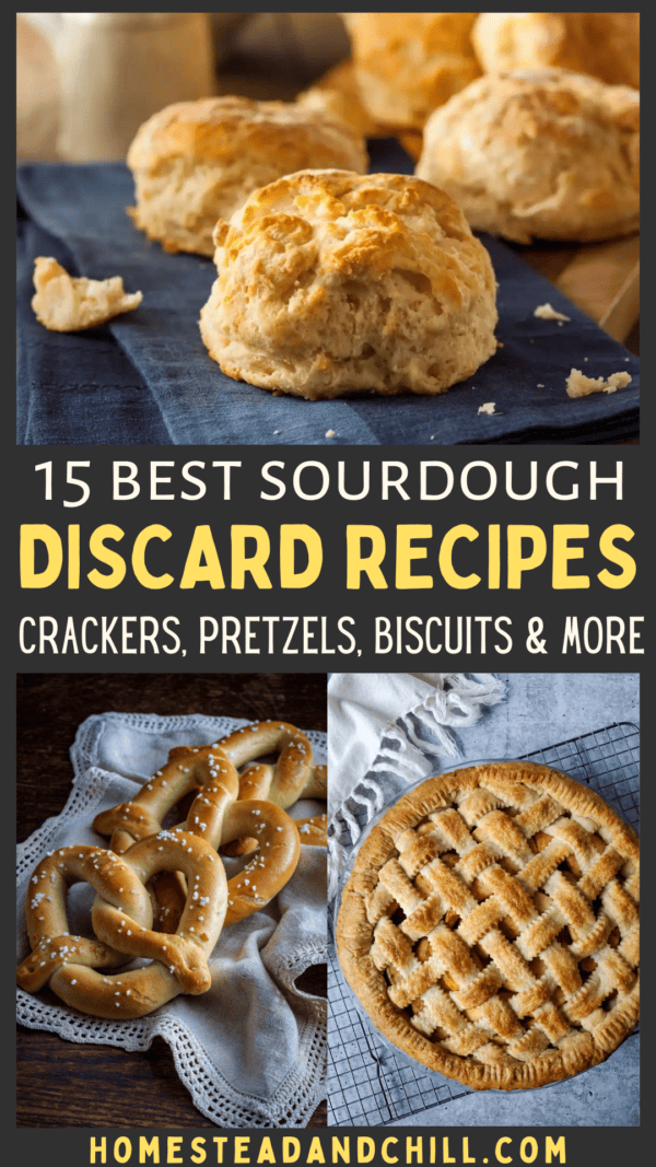 15 Best Sourdough Discard Recipes Ways to Use Starter Discard