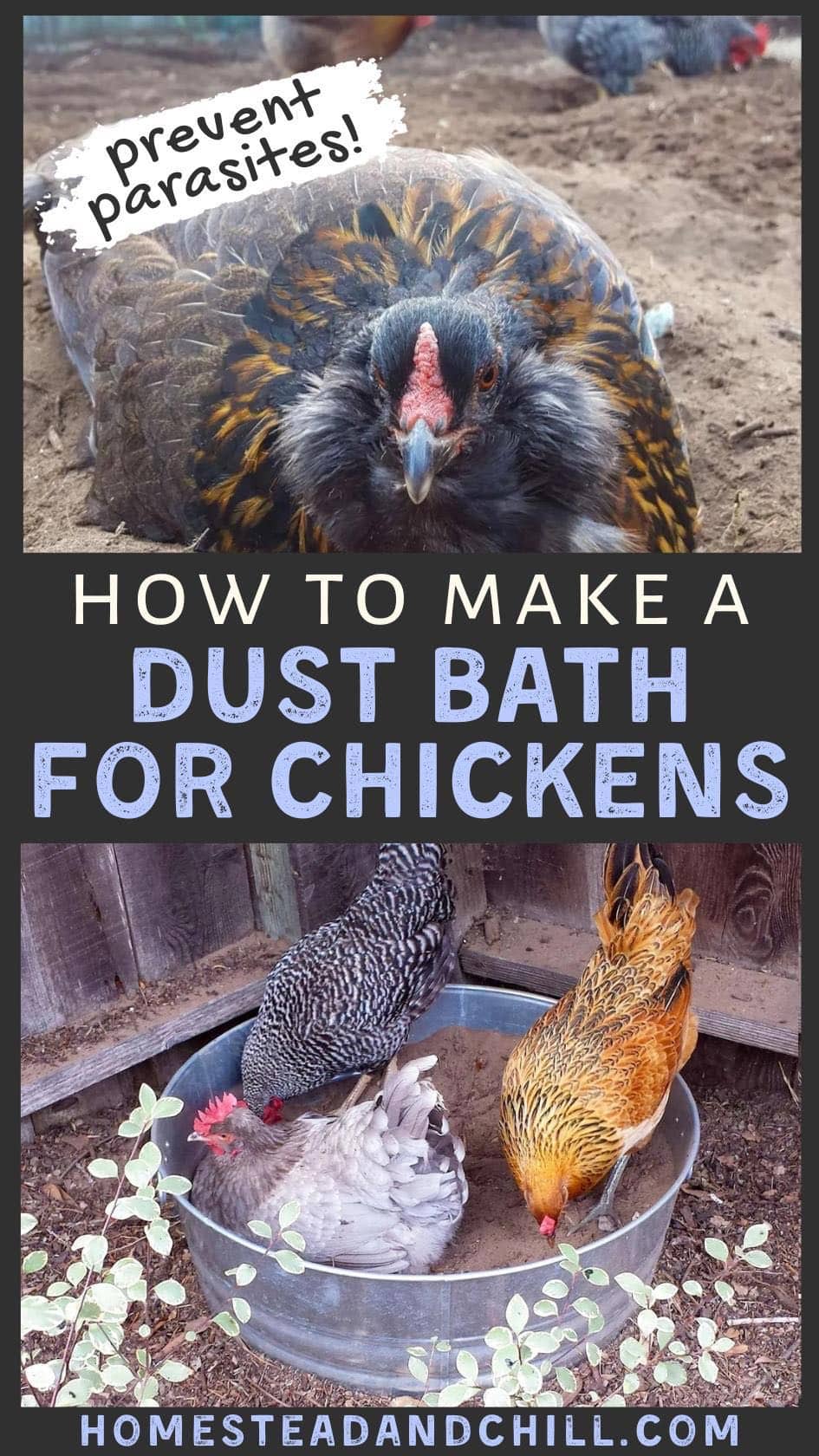 How to Make a Chicken Dust Bath Easy DIY Ideas Homestead and Chill