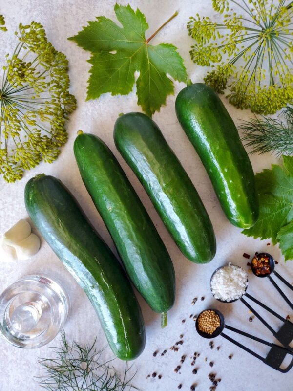 Fermented Pickles Recipe How to Make Crunchy Brined Cucumber Pickles Homestead and Chill