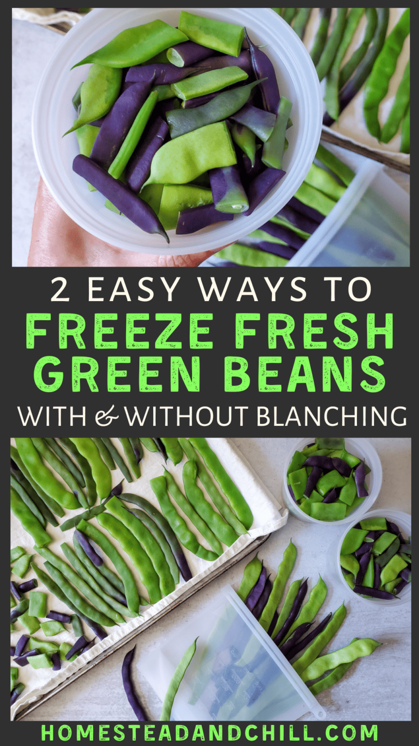 How to Freeze Green Beans (With or Without Blanching) Homestead and Chill