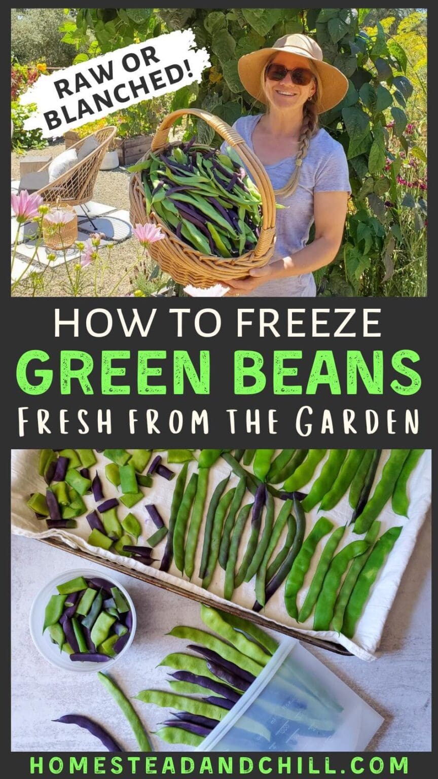 How to Freeze Green Beans (With or Without Blanching) Homestead and Chill