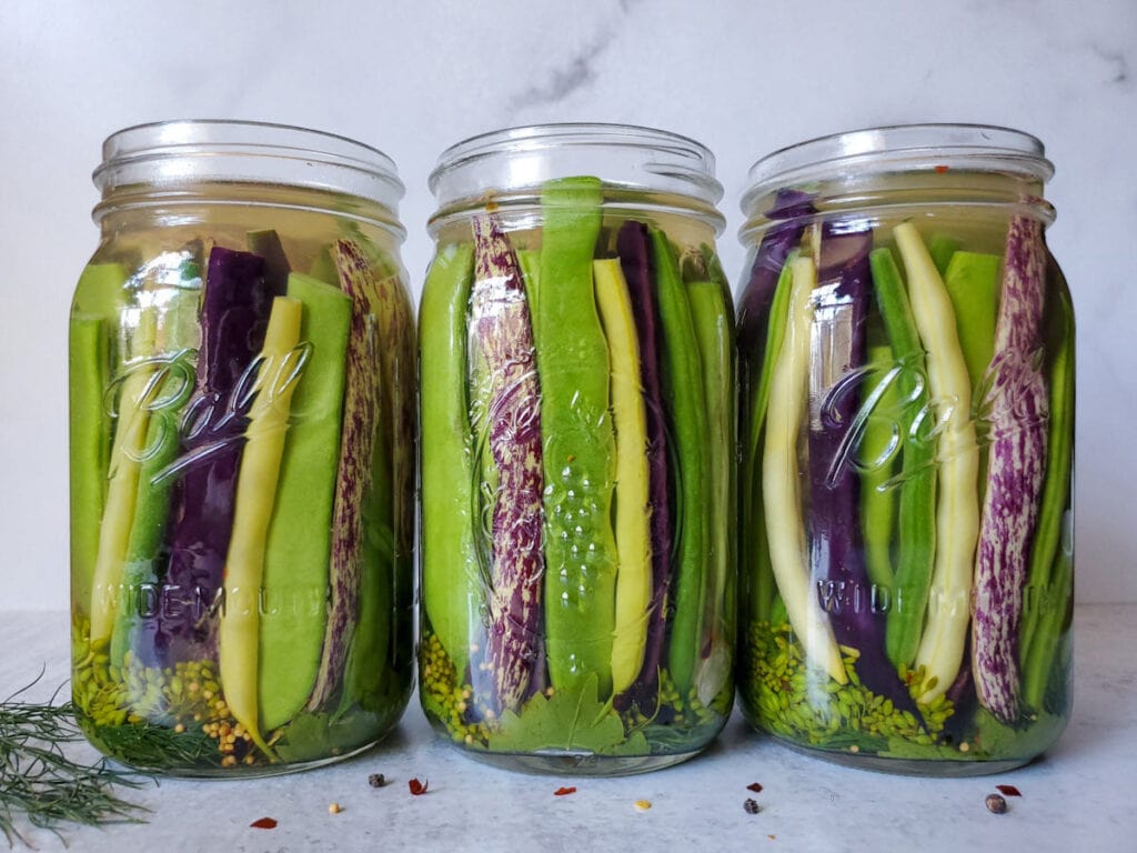 Quick Pickled Dilly Green Beans (Refrigerator or Canning) Homestead