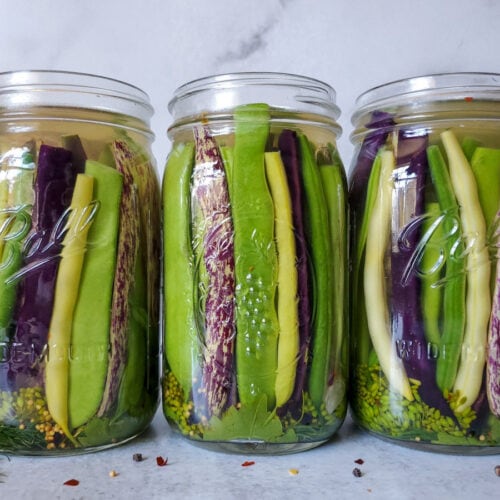 Quick Pickled Dilly Green Beans (Refrigerator or Canning) Homestead