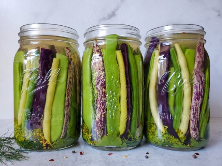 Quick Pickled Dilly Green Beans (Refrigerator or Canning) Homestead and Chill