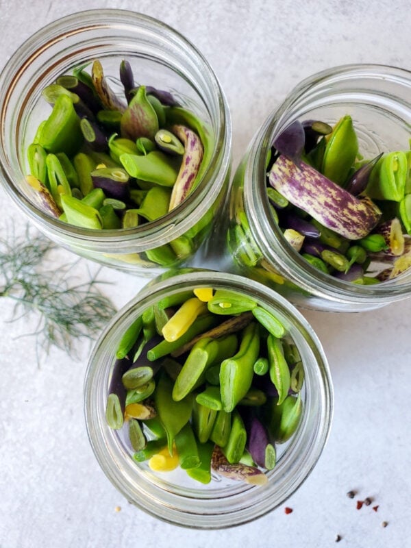 Quick Pickled Dilly Green Beans (Refrigerator or Canning) Homestead and Chill