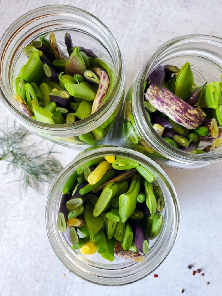Quick Pickled Dilly Green Beans Recipe (Refrigerator or Canning ...