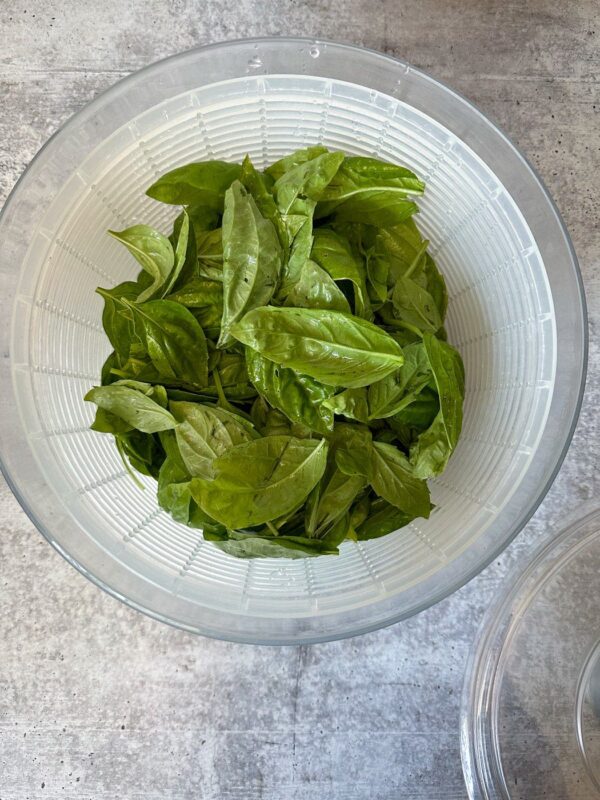 How to Freeze Basil in Ice Cube Trays (Olive Oil or Water) Homestead