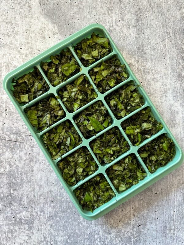 How to Freeze Basil in Ice Cube Trays (Olive Oil or Water) Homestead