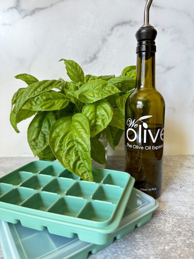 How to Freeze Basil in Ice Cube Trays (Olive Oil or Water) Homestead