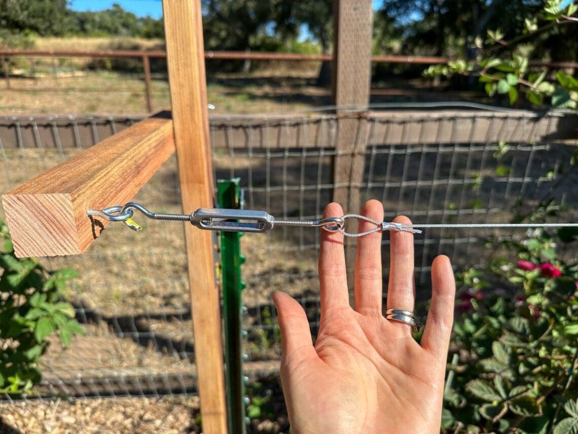 DIY Berry Trellis How to Build a Wire Raspberry or Blackberry Trellis