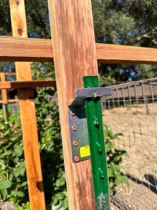 DIY Berry Trellis How to Build a Wire Raspberry or Blackberry Trellis