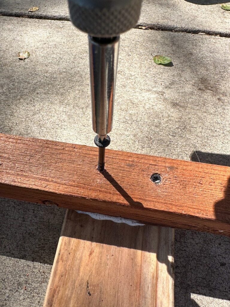 DIY Berry Trellis How to Build a Wire Raspberry or Blackberry Trellis