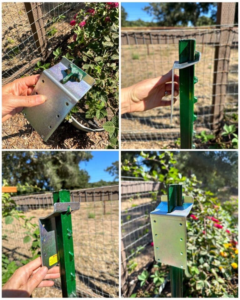 DIY Berry Trellis How to Build a Wire Raspberry or Blackberry Trellis (Video) Homestead and Chill