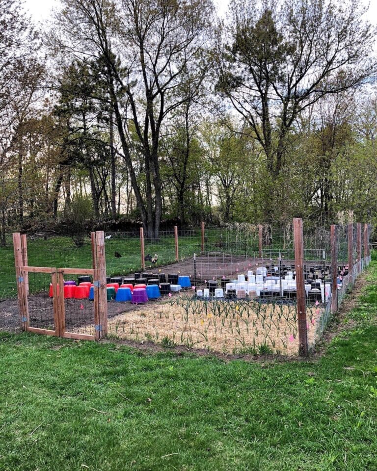 7 Ways to Protect Plants From Frost Fabric Garden Bed Covers and More