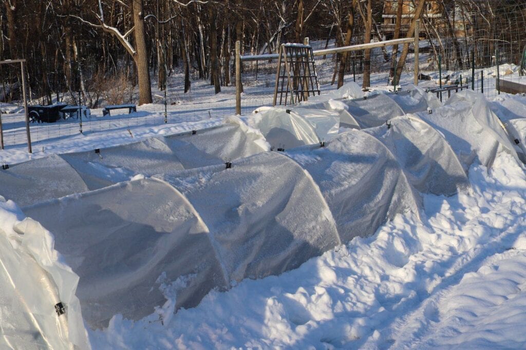 7 Ways to Protect Plants From Frost Fabric Garden Bed Covers and More