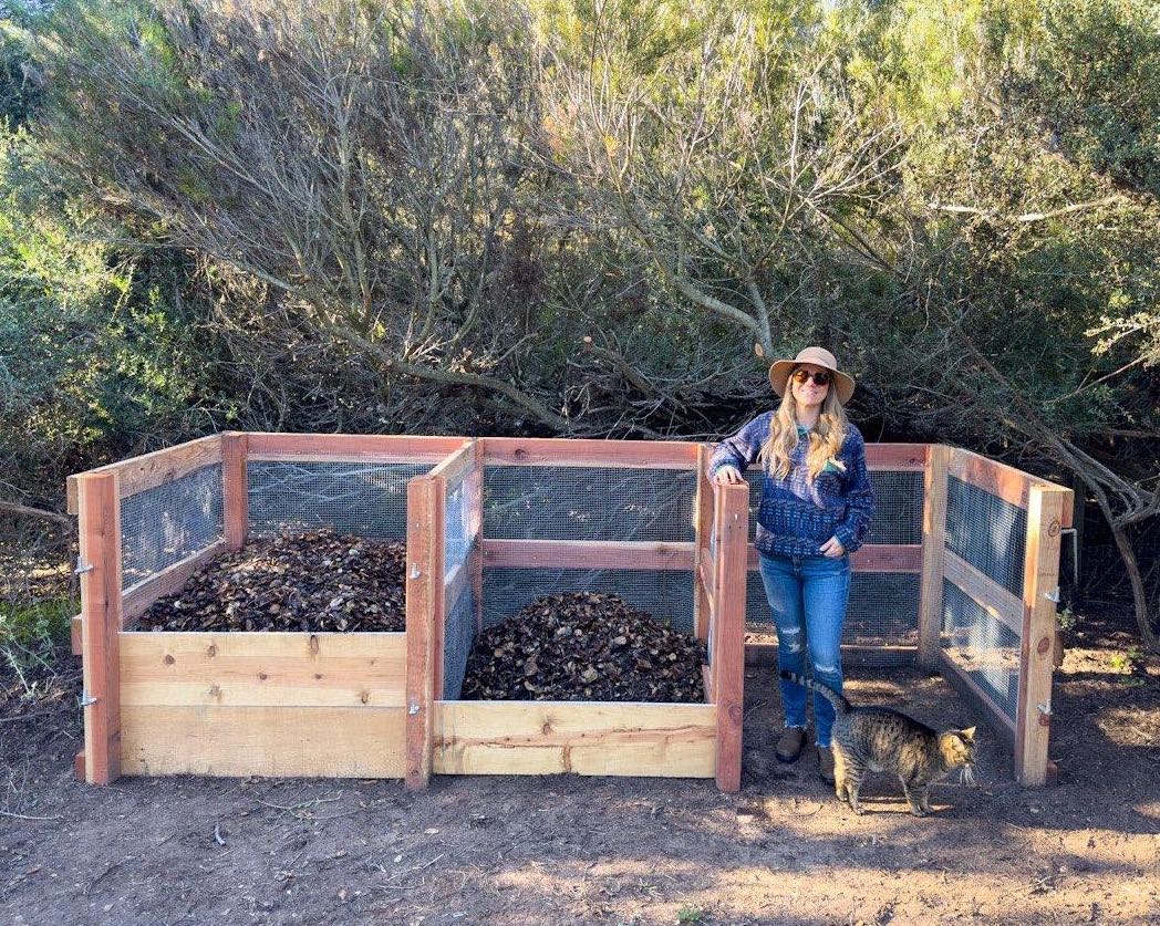 DeannaCat is standing in the empty 3rd bay of a 3 bay compost bin system, two of the bays are partially full of material. A brown tabby cat is standing in front of her.
