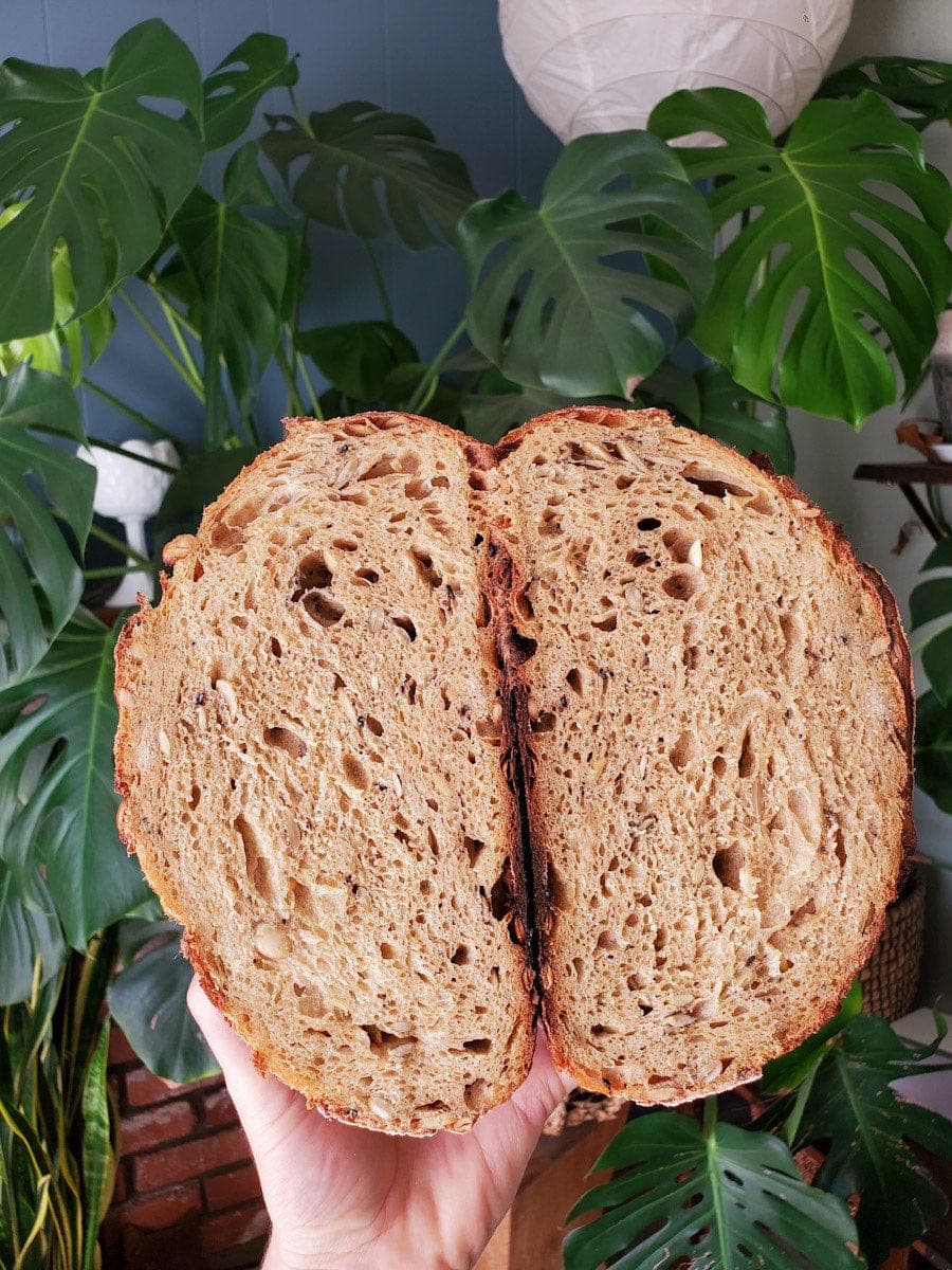DeannaCat is holding two halves of a loaf of whole grain sourdough bread. The bottom of each half are touching while the inside of the bread is featured. It is brown in color with many air holes and pockets amongst the fluffy and chewy bread. The crust and crumb of the bread are even darker brown in color. 