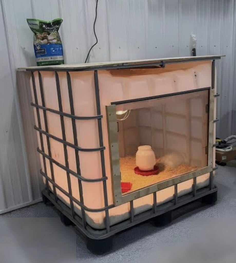 A large white IBC water storage tote has been converted into a DIY chick brooder, with a large clear panel door showing chicks, feed, a heat lamp, and shavings bedding inside.