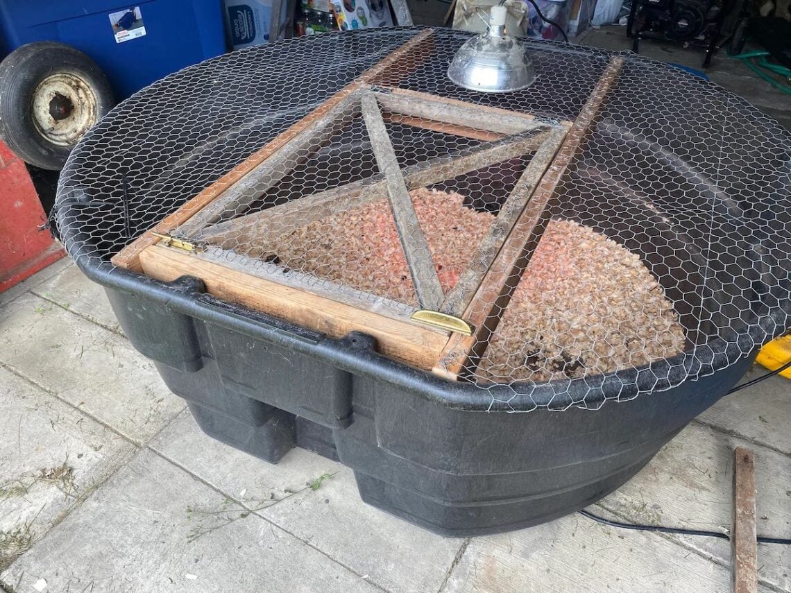 11 Easy DIY Chick Brooder Box Ideas with Photos Homestead and Chill