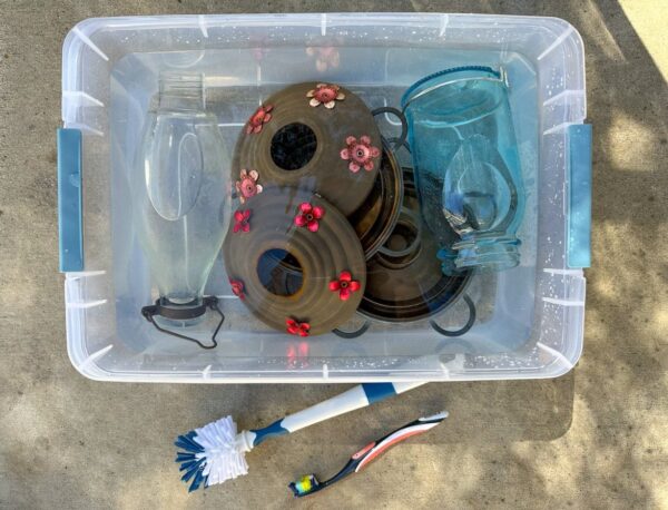 How to Clean A Hummingbird Feeder + Maintenance Tips ~ Homestead and Chill