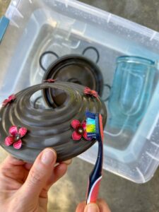 How to Clean A Hummingbird Feeder + Maintenance Tips ~ Homestead and Chill