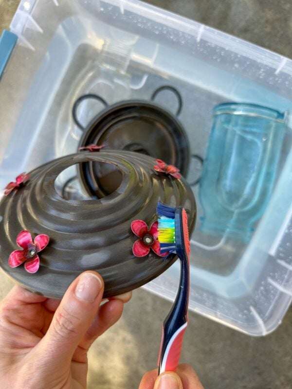 How to Clean A Hummingbird Feeder + Maintenance Tips ~ Homestead and Chill