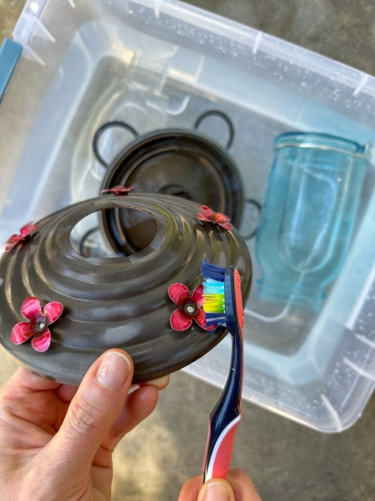 How to Clean A Hummingbird Feeder + Maintenance Tips Homestead and Chill