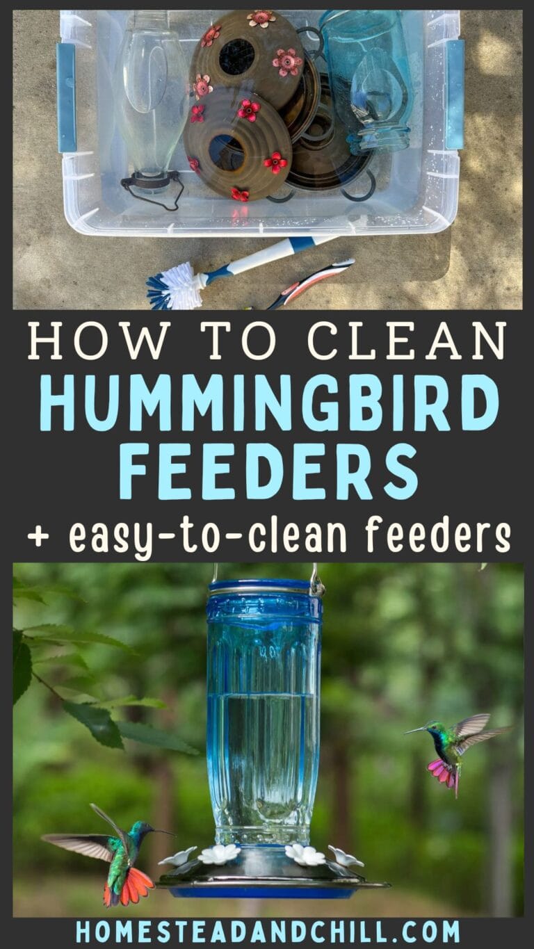 How to Clean A Hummingbird Feeder + Maintenance Tips ~ Homestead and Chill