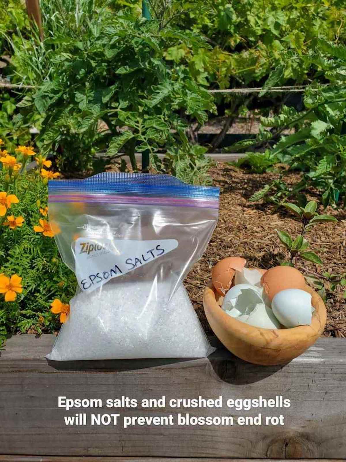 A bag of epsom salt is sitting on the edge of a raised garden bed next to a wooden bowl of whole egg shells. Growing in the raised bed beyond are tomatoes and marigolds. 