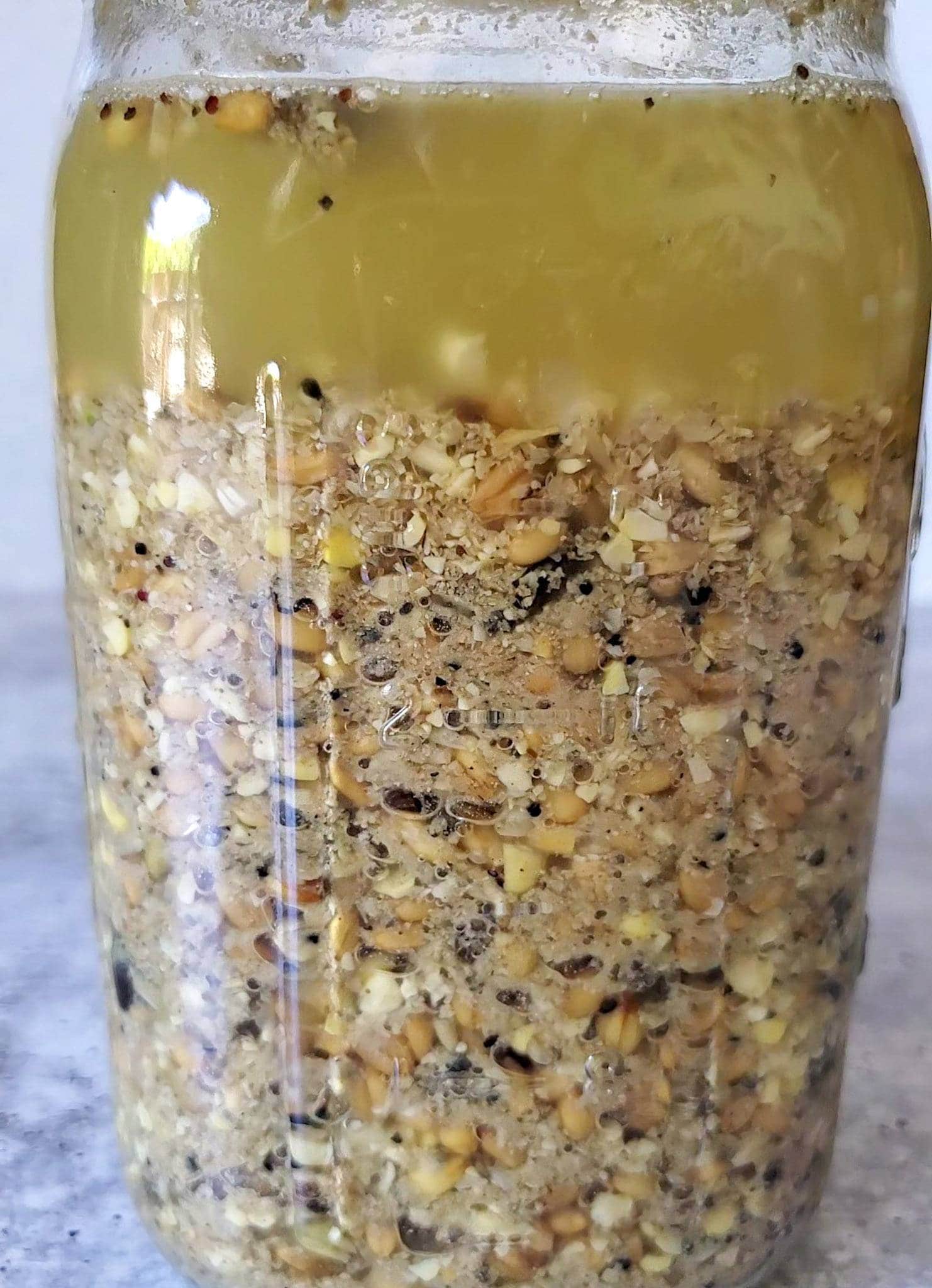 A large mason jar is full of fermented full grain chicken feed. The grain has become more plump as it ferments.