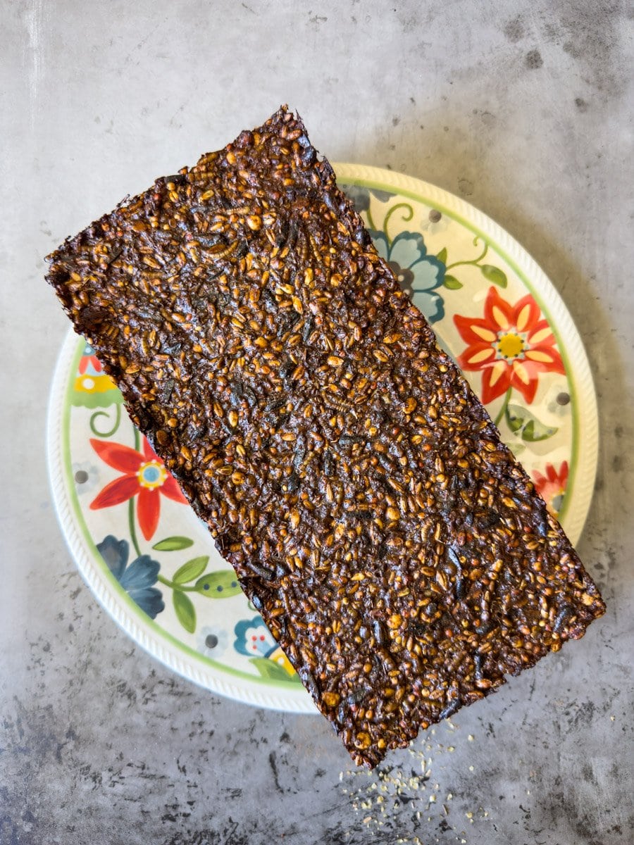 A finished treat block is sitting on top of a floral patterned plate. Seeds, grains, and mealworms are visible amongst the block. 