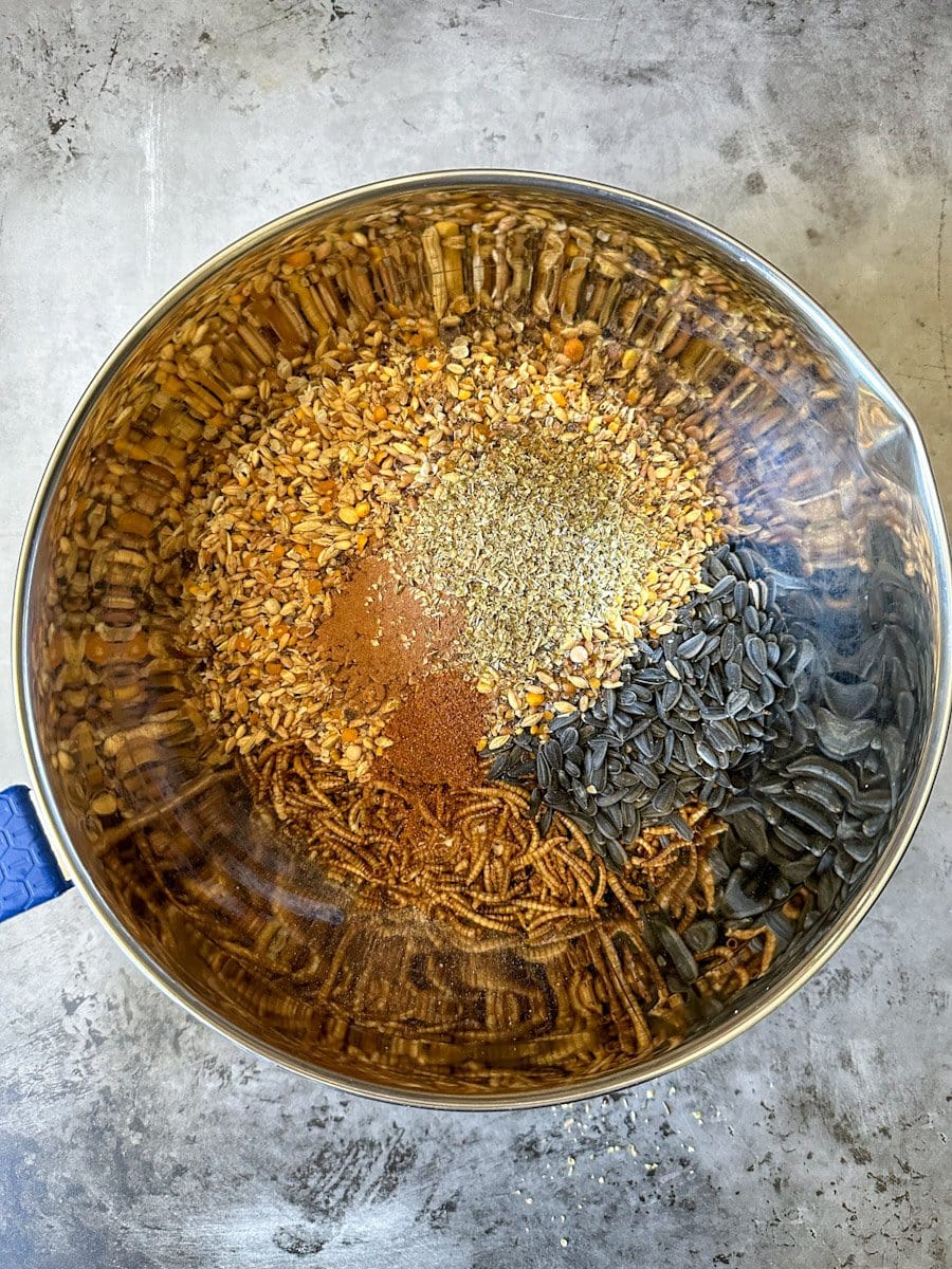 A large metal bowl is full of a combination of feed, scratch, sunflower seeds, mealworms, flour, spices and rolled oats. 