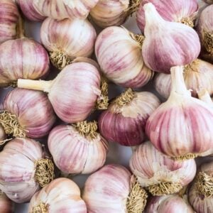 Many bulbs of garlic with purple to white papery skin are on jumbled together.