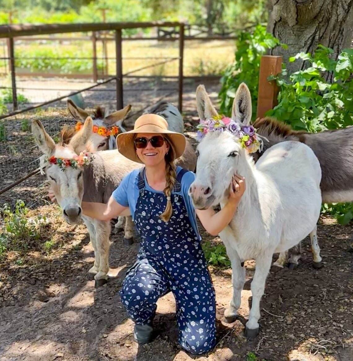 A blonde woman wearing floral blue overalls and a sun hat is kneeling on the ground between four miniature donkeys, two brown, one white and one spotted. They are about as tall. as her shoulders while she is kneeling down. The donkeys are all wearing floral crowns.