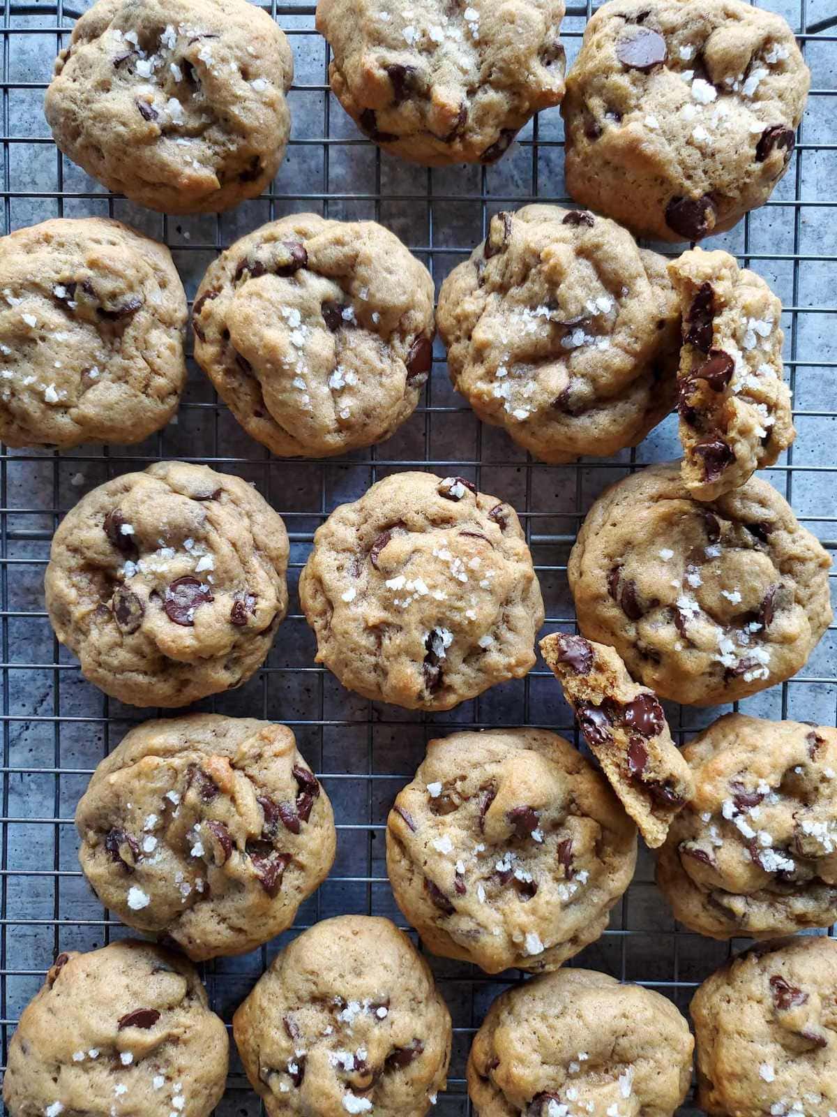 Sourdough chocolate chip cookies cooling on a wire rack after being pulled out of the oven. The cookies are brown with dark chocolate and white flakey sea salt accents.