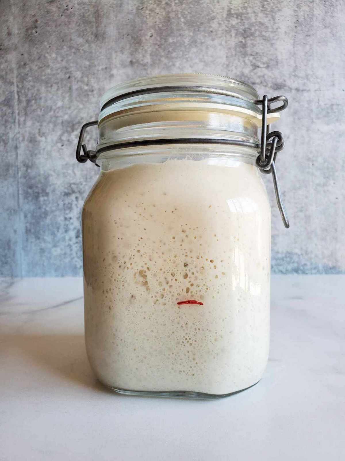 A jar of active sourdough starter, showing bubbles and the starter has risen to the top of the jar.
