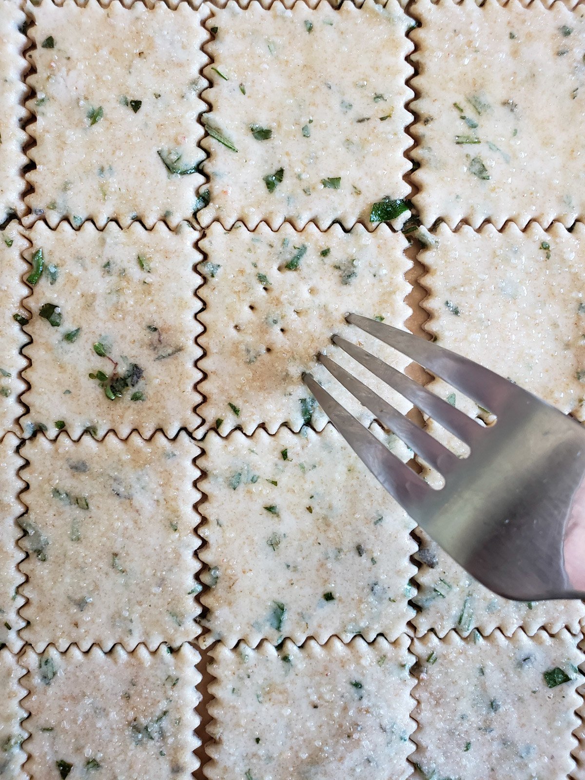 Thinly rolled out dough with fresh herbs and salt have been cut into large square sections with a pastry cutter. A fork is being used to poke holes into each square. 