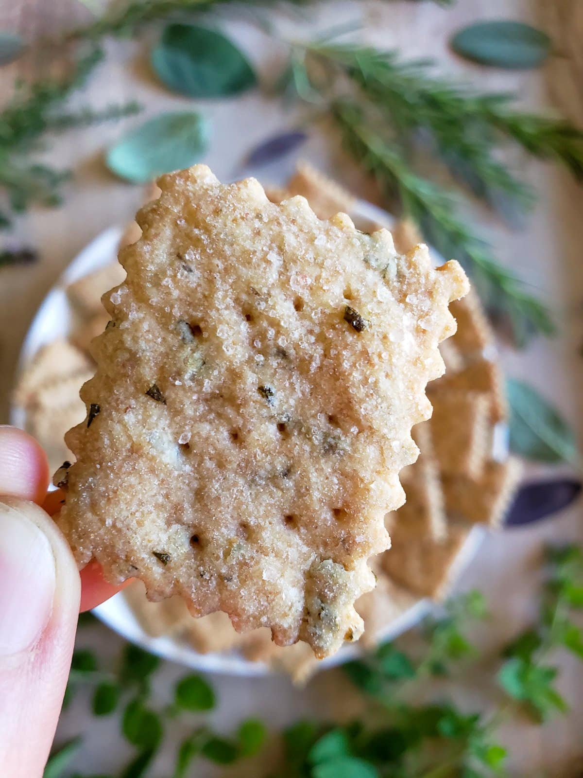 A hand is holding one cracker with wavy edges, flecks of herbs and salt are present in the cracker. 