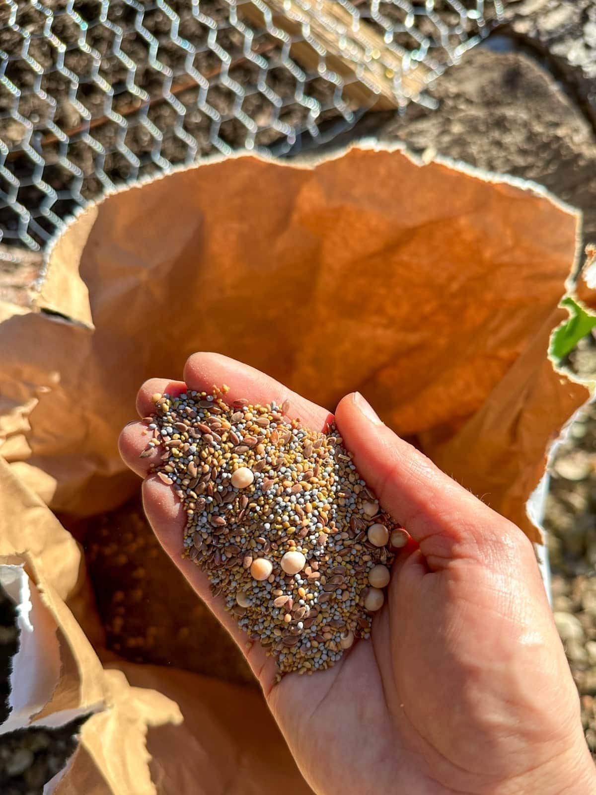 A hand is held over a bag of seed, the hand is full of chicken forage seed which contains a number of different plant seed.