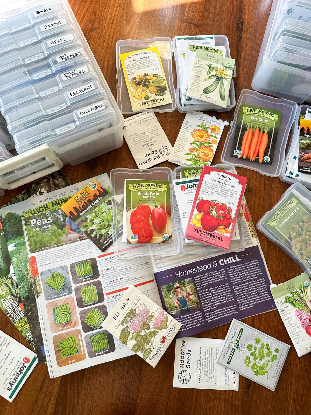 Many seed packets and seed catalogues are laid out on a table, with two seed storage boxes with individual cases and labels for cucumbers, eggplant, carrots, tomatoes, and more.