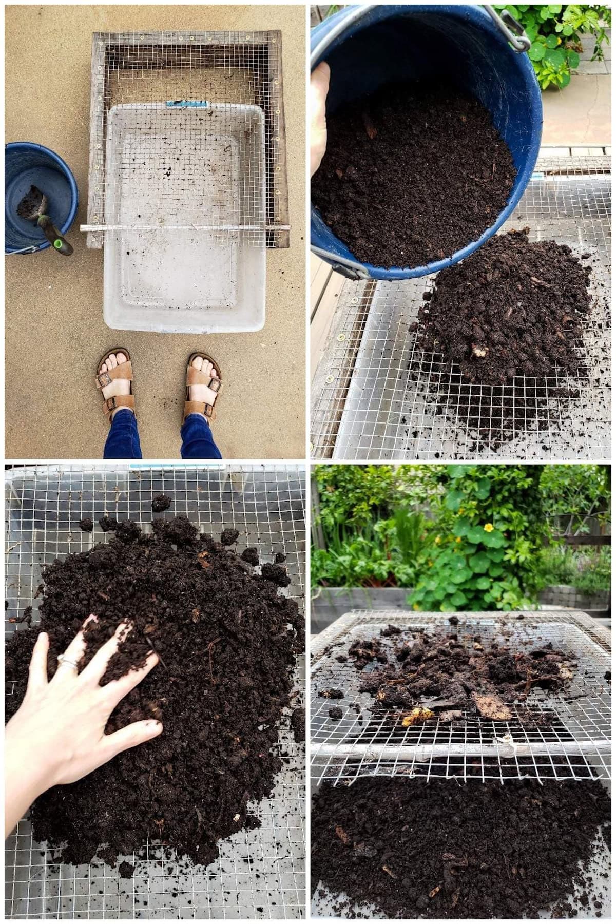 A four part image collage, the first image shows a tote place beneath a wood frame with hardware cloth attached to the top of the frame. The second image shows a bucket of worm castings being dumped onto the hardware cloth. The third image shows a hand spreading the castings over the top of the hardware cloth. The fourth image shows the tote below with screened castings while there are larger bits of debris sitting atop the hardware cloth that couldn't be sifted through the screen.