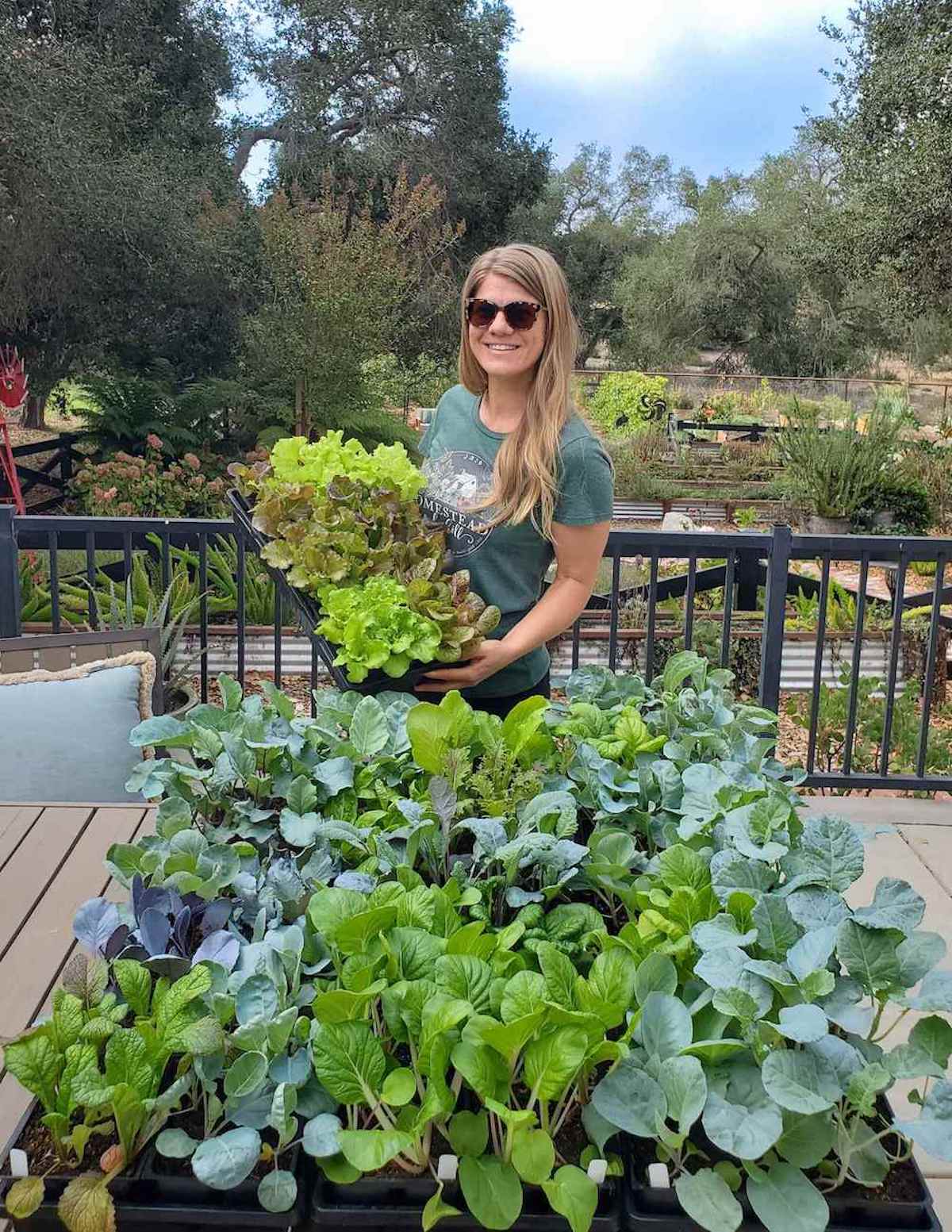 A woman is holding a tray of lettuce seedlings while a table in the foreground contains many trays of vegetable seedlings.