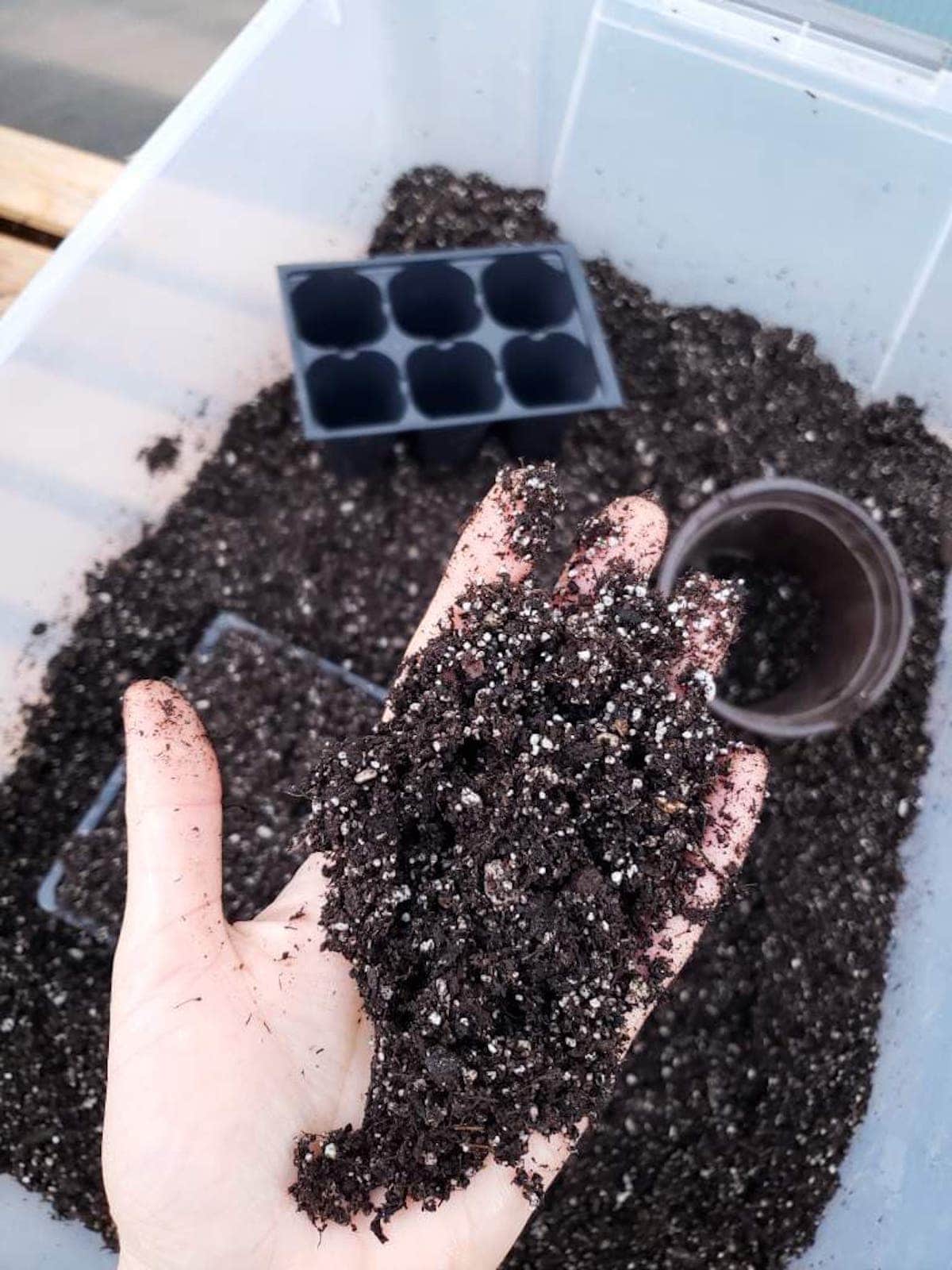 An out held hand contains a small amount of diy seed starting mix. Below, there is a tote with more soil and a few seedling containers.