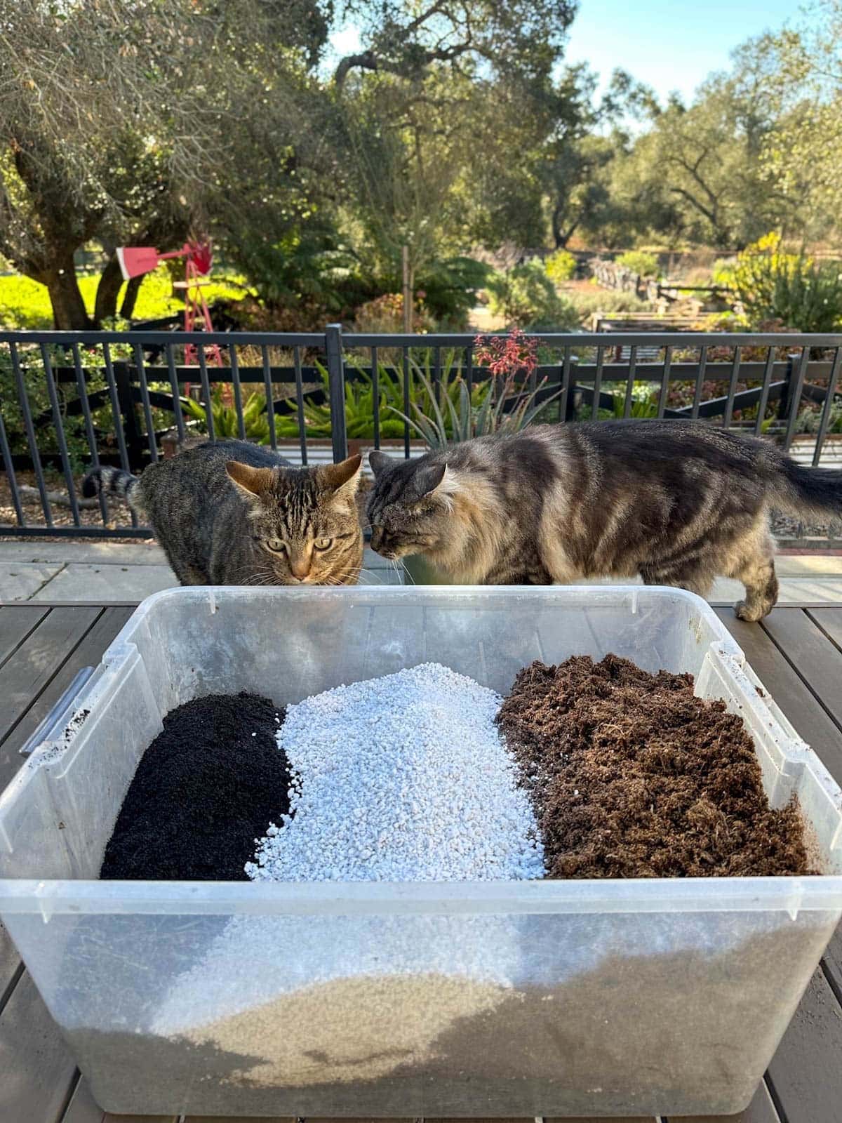 A large tote contains peat moss, perlite, and worm castings, each lined up in a row, taking up their own portion of the inside of the tote. Two cats check on the mix from behind the tote.