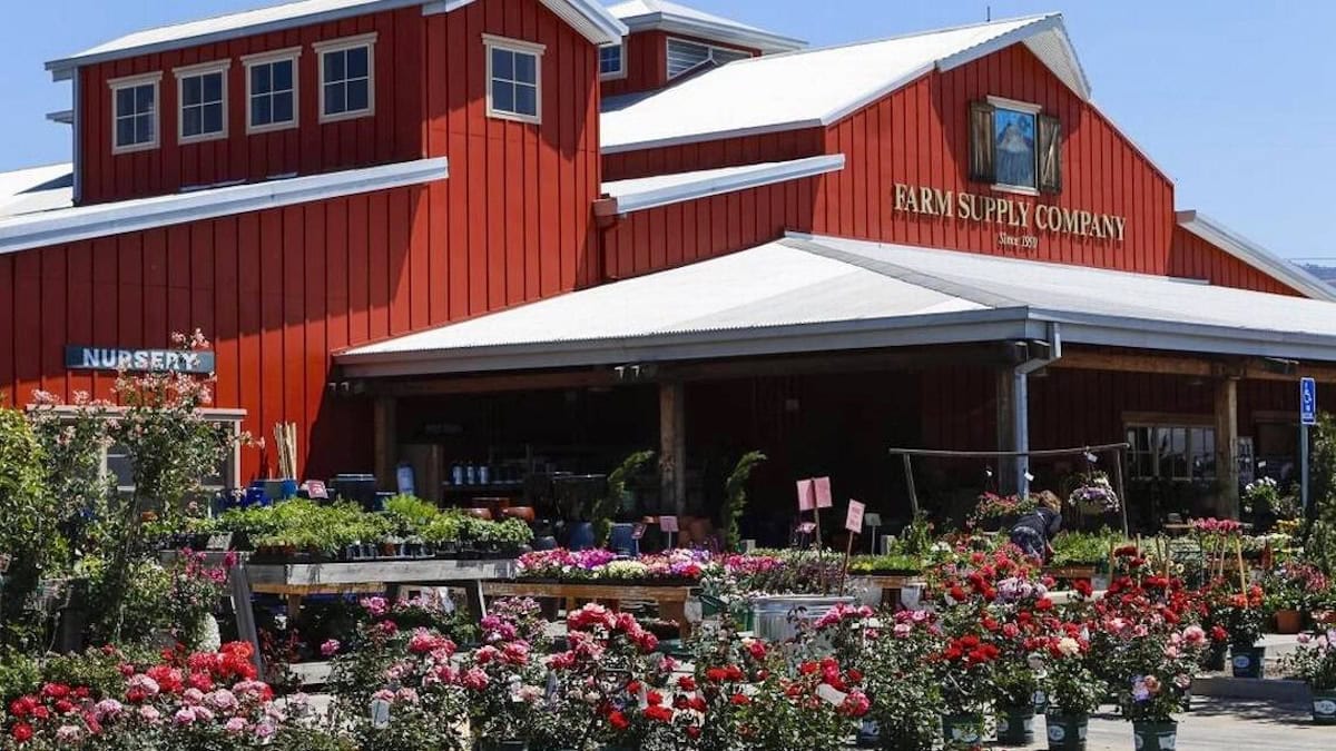 The Farm Supply Company store in San Luis Obispo, a large number of flowering plants are set up in front of the store.