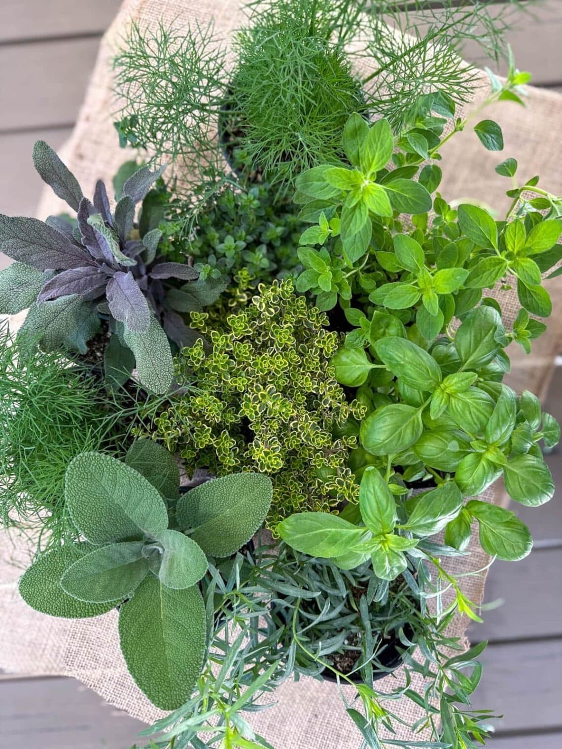 DIY Container Herb Garden Planter + The Best Herbs to Grow ~ Homestead ...