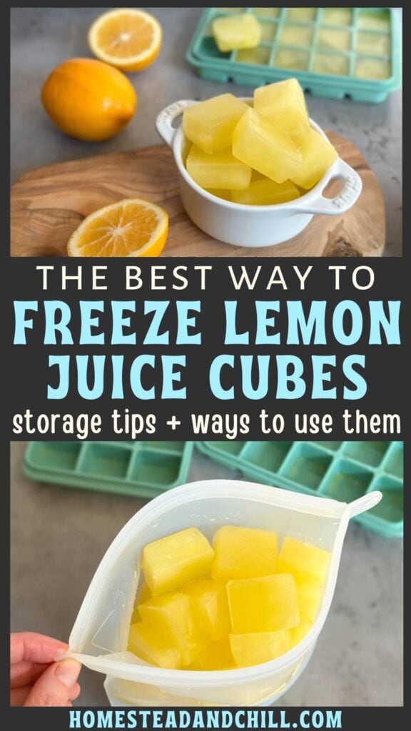 The Best Way to Freeze Lemon Juice + How to Store and Use It